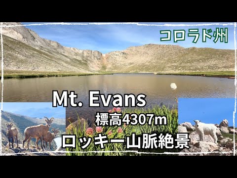 【＃旅ブログ】コロラド州のMt. Evansへマウンテンゴートに会いに行ってきた。ロッキー山脈はやっぱり偉大だ。