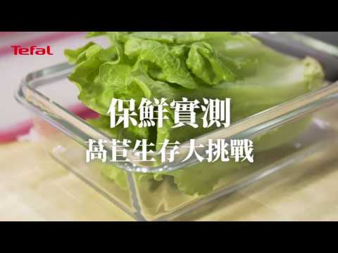 法國特福 Tefal  MasterSeal 保鮮盒 14天縮時保鮮實測｜萵苣生存大挑戰 #保鮮實測 #無縫膠圈 #無縫膠條 #無縫膠圈免拆洗 #要保鮮就不能有縫隙