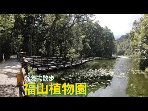 【沉浸式】宜蘭福山植物園散步2022 summer