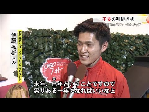 【高知】ハマスイから、わんぱーくへ《干支の引継ぎ》巳年の代表はボールニシキヘビ (24/12/14 20:30)