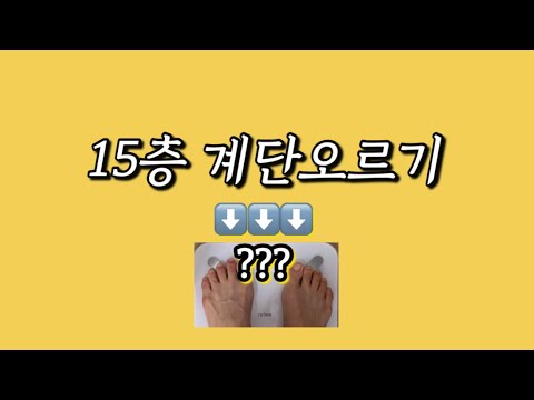 유지어터 15층 계단오르기 일주일 도전🔥