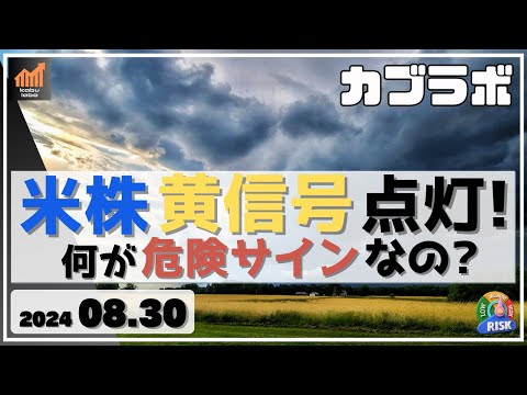 【カブラボ】8/30 米株に黄信号点灯！ 何が危険なサインなのか!?