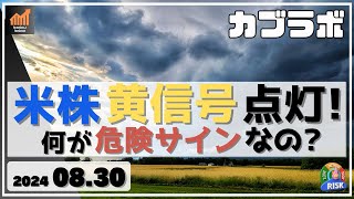 【カブラボ】8/30 米株に黄信号点灯！ 何が危険なサインなのか!?