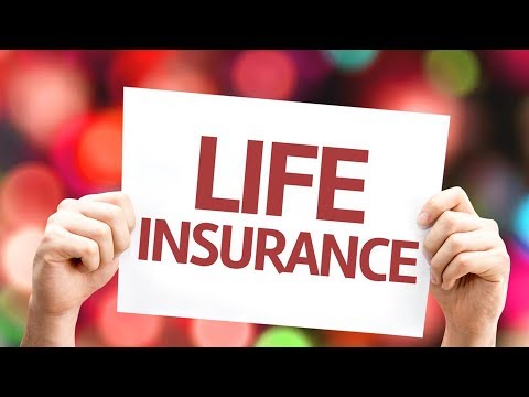 Life Insurance Basics