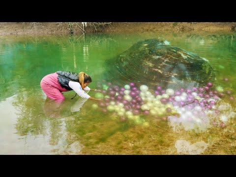 The clams here are too tempting, the first grade pearls in the freshwater river