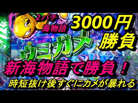 海物語2パチ3000円勝負【PA新海物語】で勝負！2パチは小さい勝利の積み重ねです(笑)