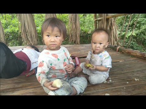 finally built a house to shelter my mother and me from the sun and rain#youtube