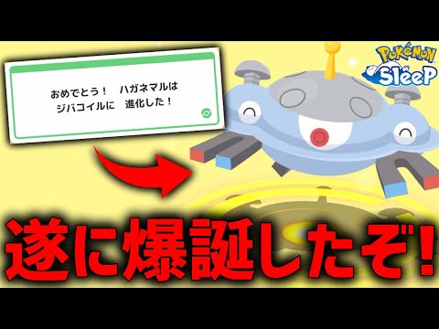 遂に爆誕した『最強のジバコイル』を見てくれ！【ポケモンスリープ】