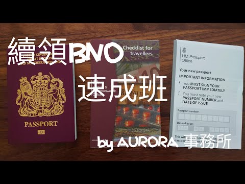 【2020 BNO續領雞精班】一張圖兩分鐘輕易學識續期流程~《AURORA事務所》~