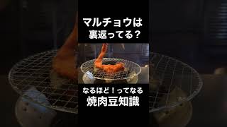 マルチョウってどんな部位？焼肉が楽しくなる豆知識#shorts