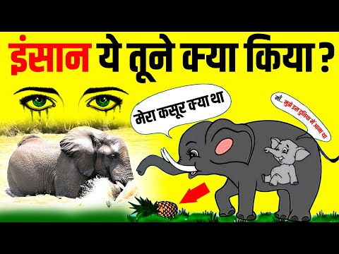 Pregnant Elephant 🐘 के मौत पर इंसान शर्मसार | Died in Kerala | Elephant Death News | 2020