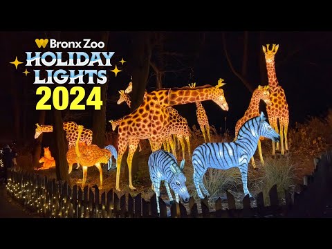 New York City LIVE Bronx Zoo Holiday Lights 2024 ✨ (December 1, 2024)