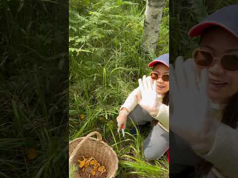 Poimimaan sieniä #shorts #shortviral #nature #mushroom #naturelovers #takemetonature