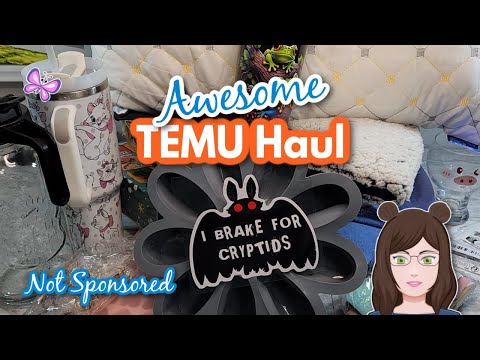 Awesome TEMU HAUL! Picked up some Christmas Gifts!  November 2024 - Not Sponsored!