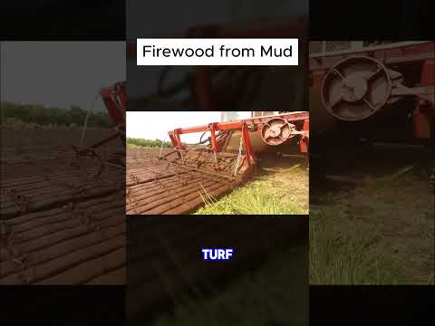 Fire wood from mud - Peat Turf