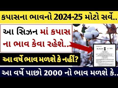 મોટો સર્વે વર્ષે 2024 // ગુજરાતના ખેડૂતો માટે મોટા સમાચાર! 🌾📈 // kapas na bhav / Khedut Samachar