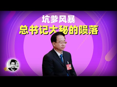 坑爹引发的政治风暴：总书记大秘的陨落