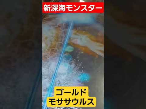 釣りスピリッツシンカー 新しくとうじょしたゴールドモササウルスを釣り上げた