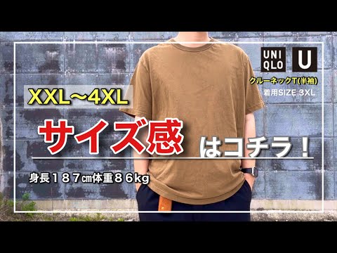 【クルーネックT(半袖)】その使い方ならこのサイズが良いのです｜XXL〜4XL【UNIQLOU】