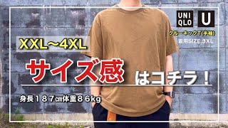 【クルーネックT(半袖)】その使い方ならこのサイズが良いのです｜XXL〜4XL【UNIQLOU】