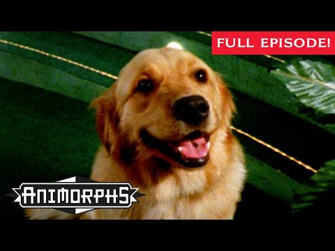 On the Run | Full Episode | Animorphs | Scholastic Classic