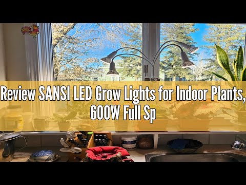 Review SANSI LED Grow Lights for Indoor Plants, 600W Full Spectrum Clip-on Gooseneck Grow Light with