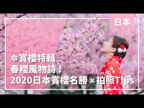 ❀賞櫻特輯❀春櫻風物詩！2020日本賞櫻名勝&拍照TIPS│日本│春天│櫻花