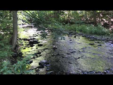 TAKE A BREAK: Calming Creek