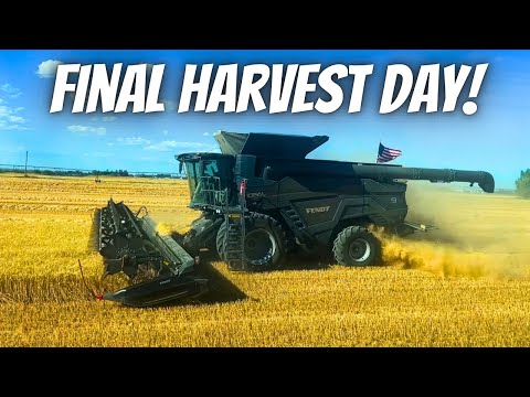 Wrapping up an amazing wheat harvest!