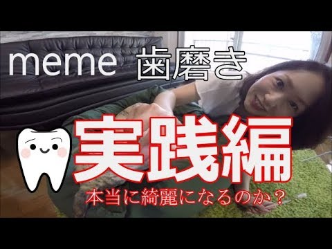 meme（ミーミー）のワンちゃん歯磨き実践編！犬の歯は綺麗になるのか？