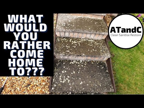 before and after filthy patio step #youtube shorts #UK #clean