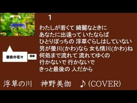 浮草の川　神野美伽　♪（COVER）