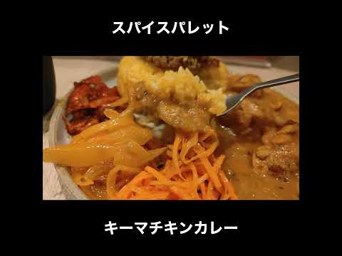 東京／秋葉原 スパイスパレットのキーマチキンカレー