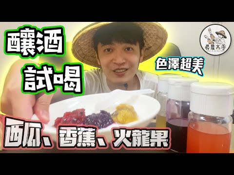 【釀酒】特殊水果釀酒好喝嗎？DIY自製水果酒試喝大會！加入比利時香甜酒酵母菌二次釀造！【尋農高手】