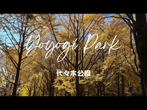 Winter day in Tokyo（Yoyogi Park）東京での冬の一日（代々木公園）