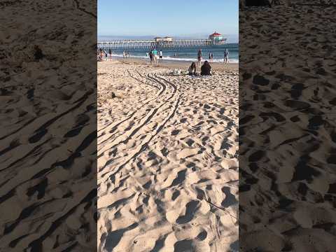 Huntington Beach Pier 🌊 #HuntingtonBeach #SurfCityUSA #OrangeCounty #California #shorts