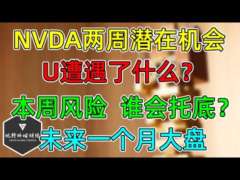 美股 NVDA未来两周潜在机会！U到底遭遇了什么？本周风险，谁会托底？未来一个月大盘的关键时间点！