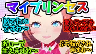 カワカミプリンセスの誕生日に「マイプリンセス✨」と言ってあげたい人生だった…に対するみんなの反応【カワカミプリンセス】【キングヘイロー】【ウマ娘】【ウマ娘プリティダービー】