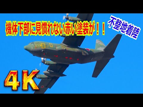 【4K】よく見るとハークと塗装が違うよね！？不整地着陸仕様（破損確認用？）となっているC-130H（不整地着陸 番外編）【岐阜基地】