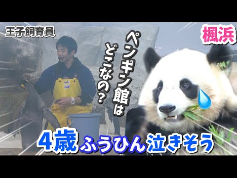 【パンダアイドル楓浜】大好きな王子飼育員はどこに行った？！思い出し泣きそう🐼