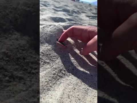 Fingerboarding on beach sand