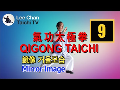 【氣功太極拳】請跟着做(鏡像) 【Qigong Taichi】 Following(Mirror Image) 【기공타이치】 따라하기(거울모습)