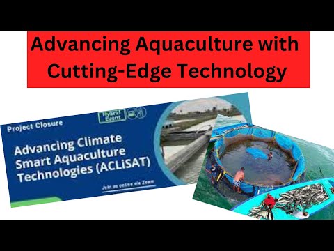 Unveiling Havisure Advancing Aquaculture with Cutting-Edge Technology