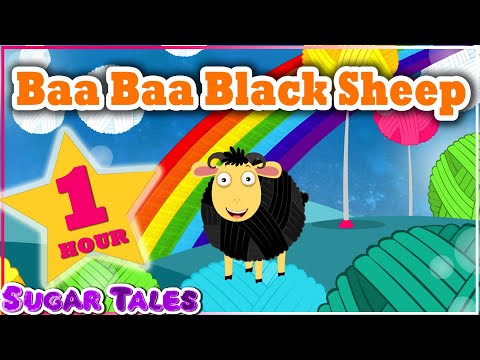 BAA BAA BLACK SHEEP 1hr compilation