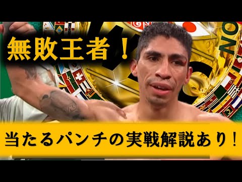 【実戦！世界王者を丸裸】レイ・バルガスを徹底解説！