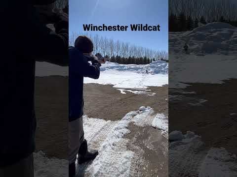 Winchester Wildcat 22lr!!! Aim North