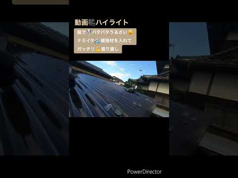 動画🎥ハイライト⭐風で🌪️バタバタうるさい😫ナミイタの補強💪張り直し#リフォーム #屋根 #職人