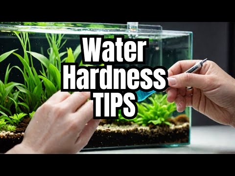 Aquarium Water Hardness: What You NEED To Know