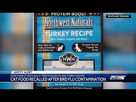 Cat food sold in Florida recalled due to bird flu risk