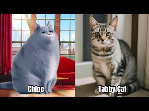 The Secret Life of Pets Character vs Real-Life Animal | Fun Cartoon Adventure for Kids Learning